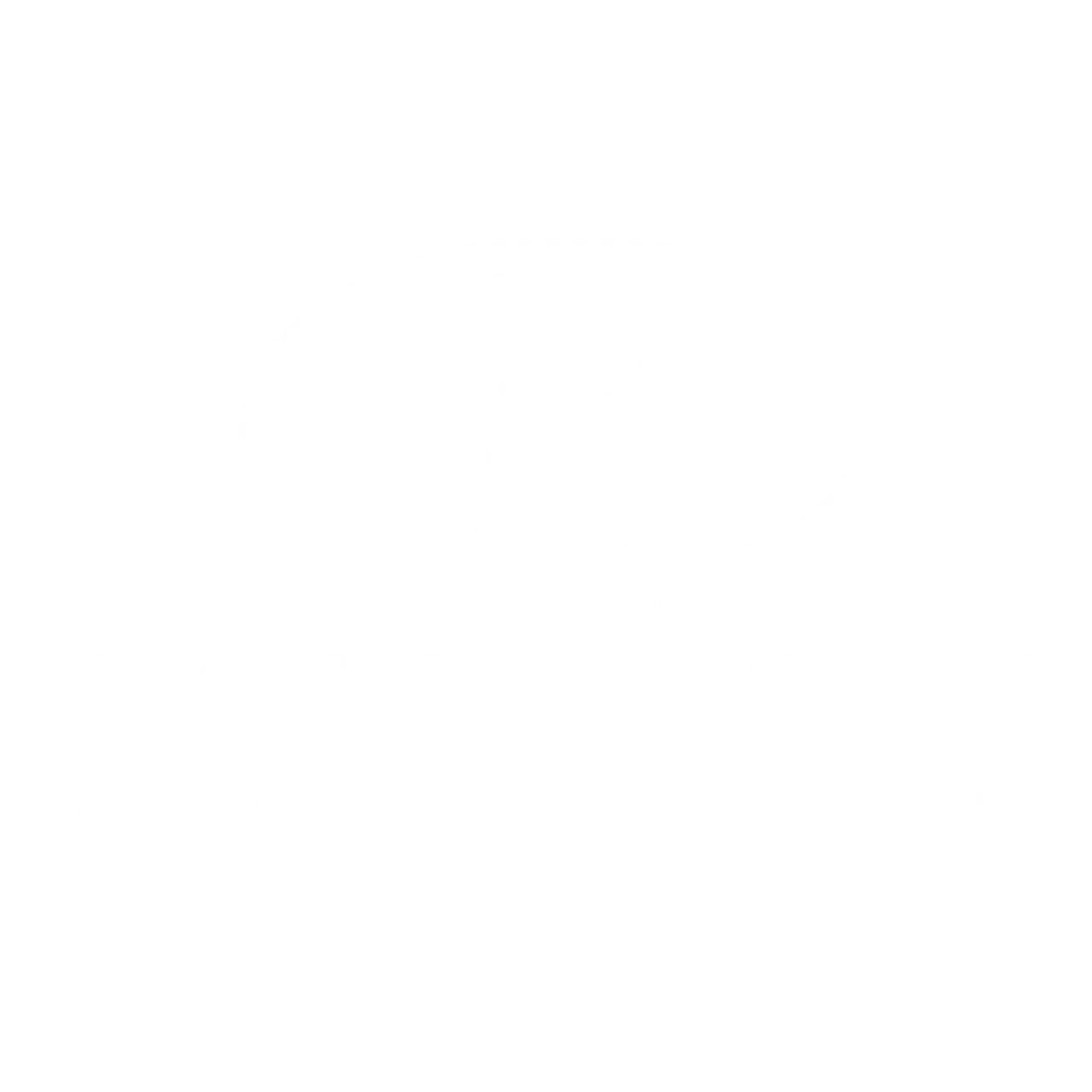 Lue Bassadone Automotive Nordicin asiakastarina