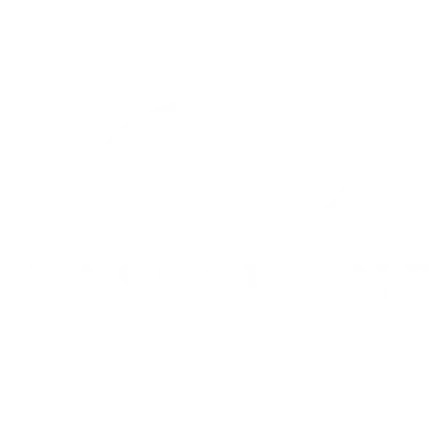 Lue Bassadone Automotive Nordicin asiakastarina