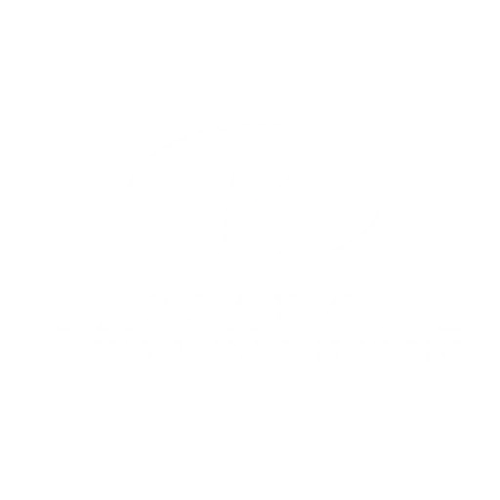 Lue Bassadone Automotive Nordicin asiakastarina