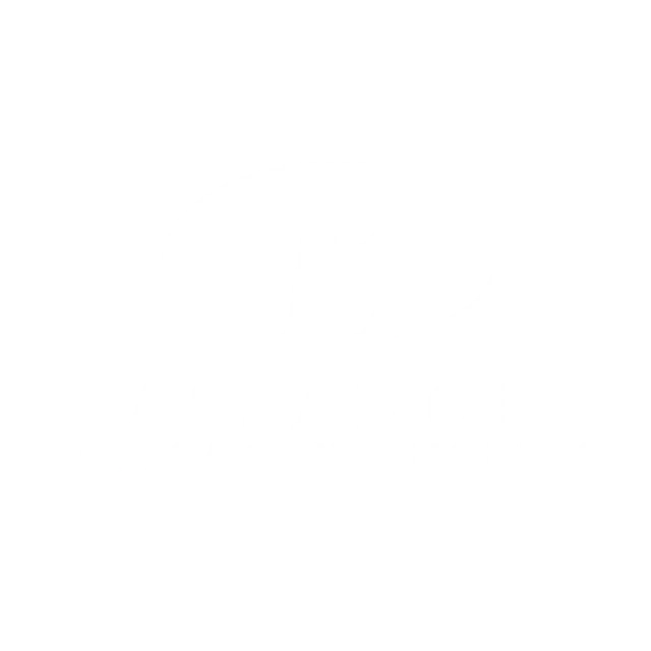 Lue Bassadone Automotive Nordicin asiakastarina