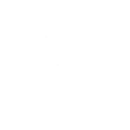Lue Bassadone Automotive Nordicin asiakastarina