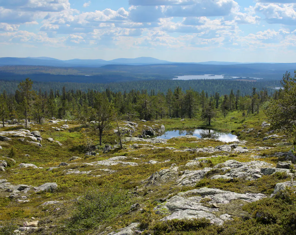 Suomalaista Lapin maisemaa kesällä, Särkitunturilla.