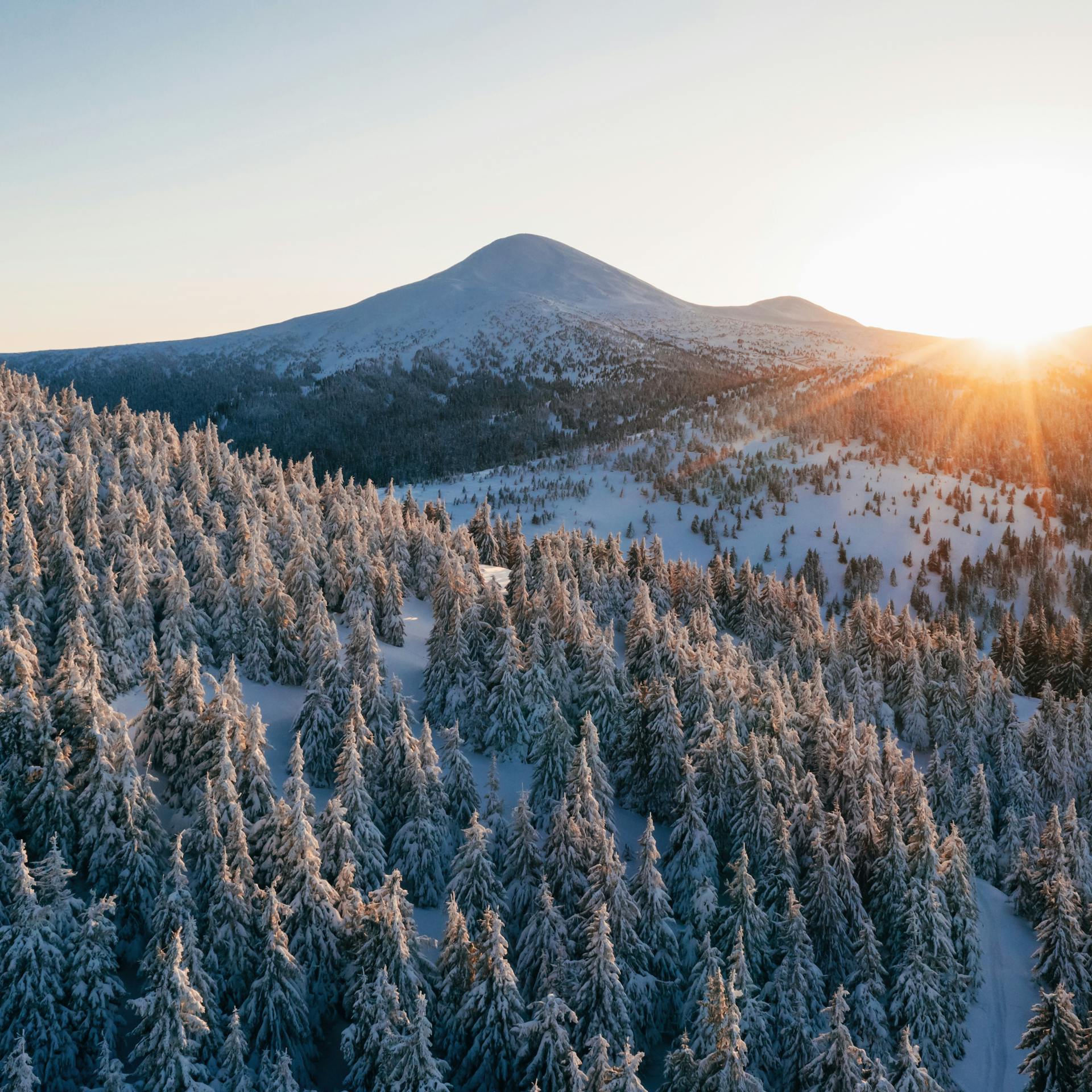 Winter aerial landscape of Carpathian mountains.