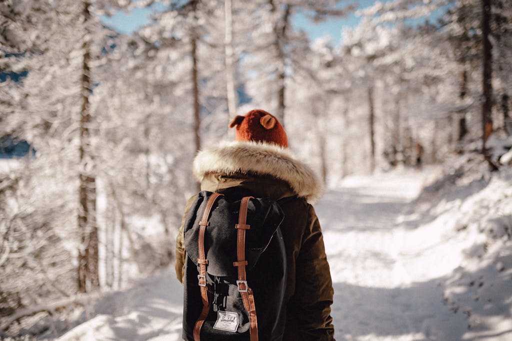 Man walking in the forest in winter