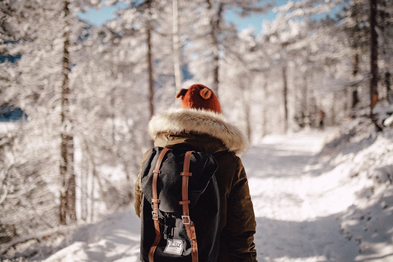 Man walking in the forest in winter