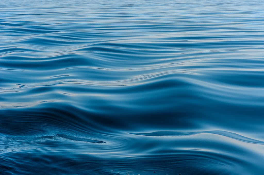 wave on the surface of the lake