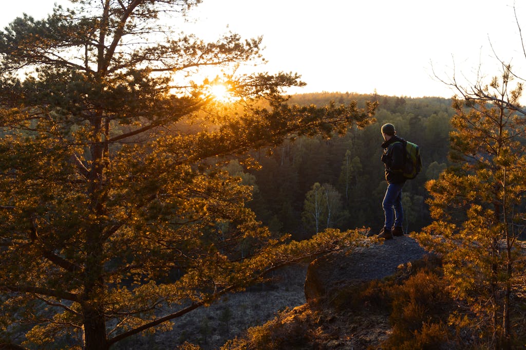 A man with a backpack standing on a rock in the forest at sunset.