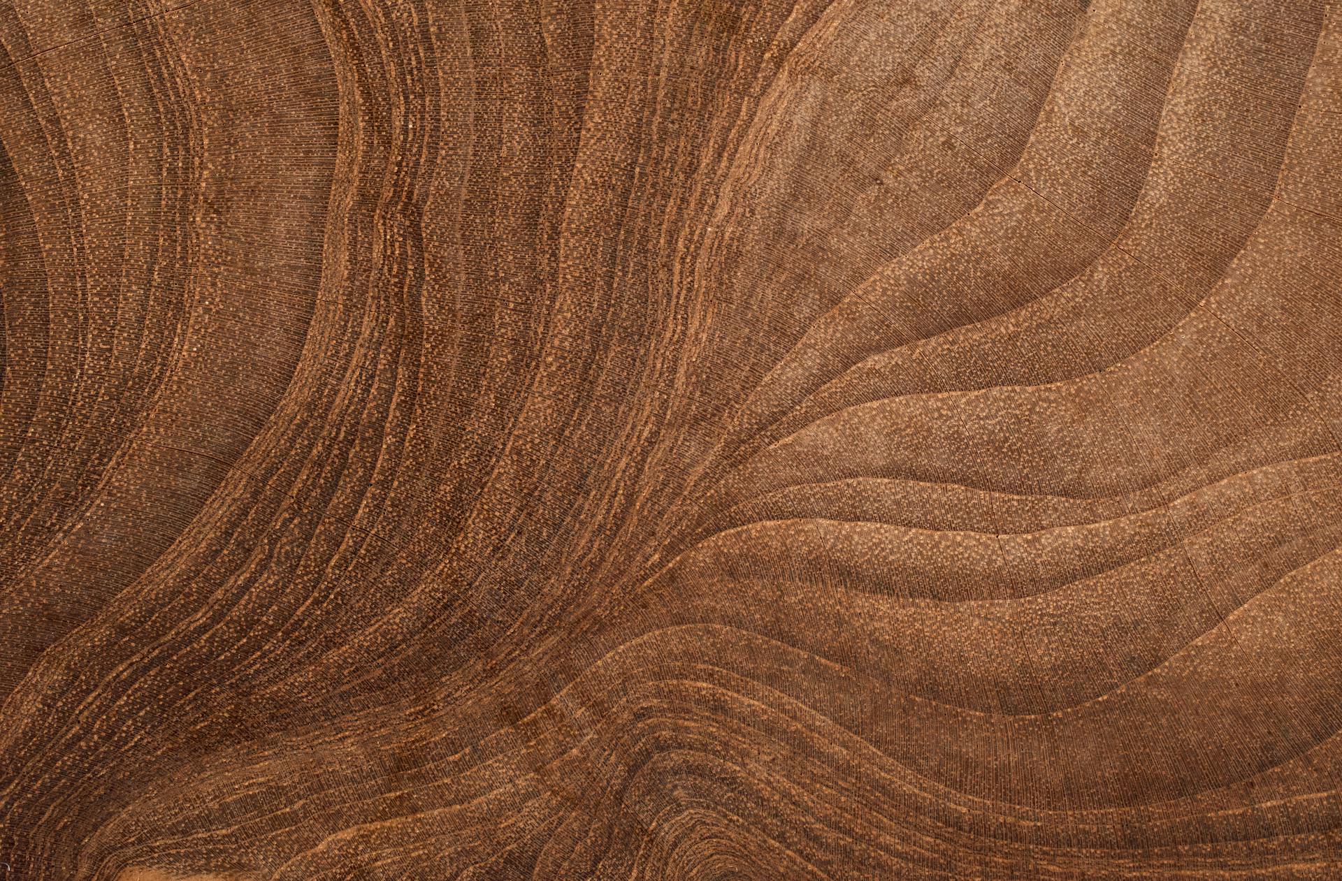 texture of wood