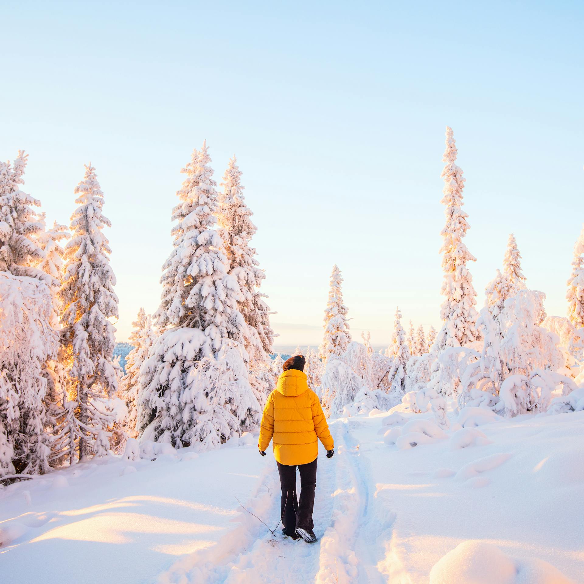 A woman in winter forest in Finland