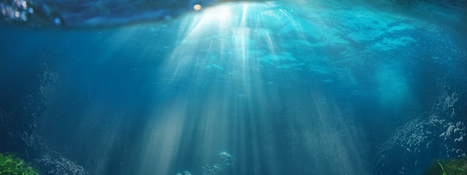 big bass splash background