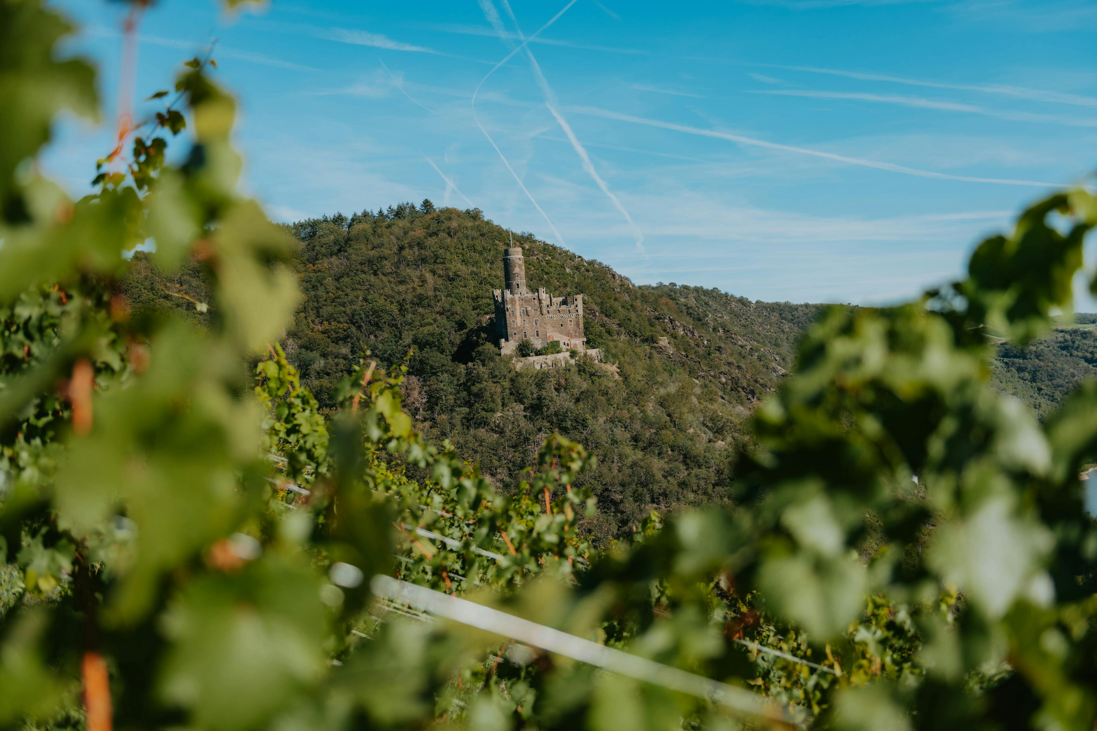 Burg im Mittelrheintal