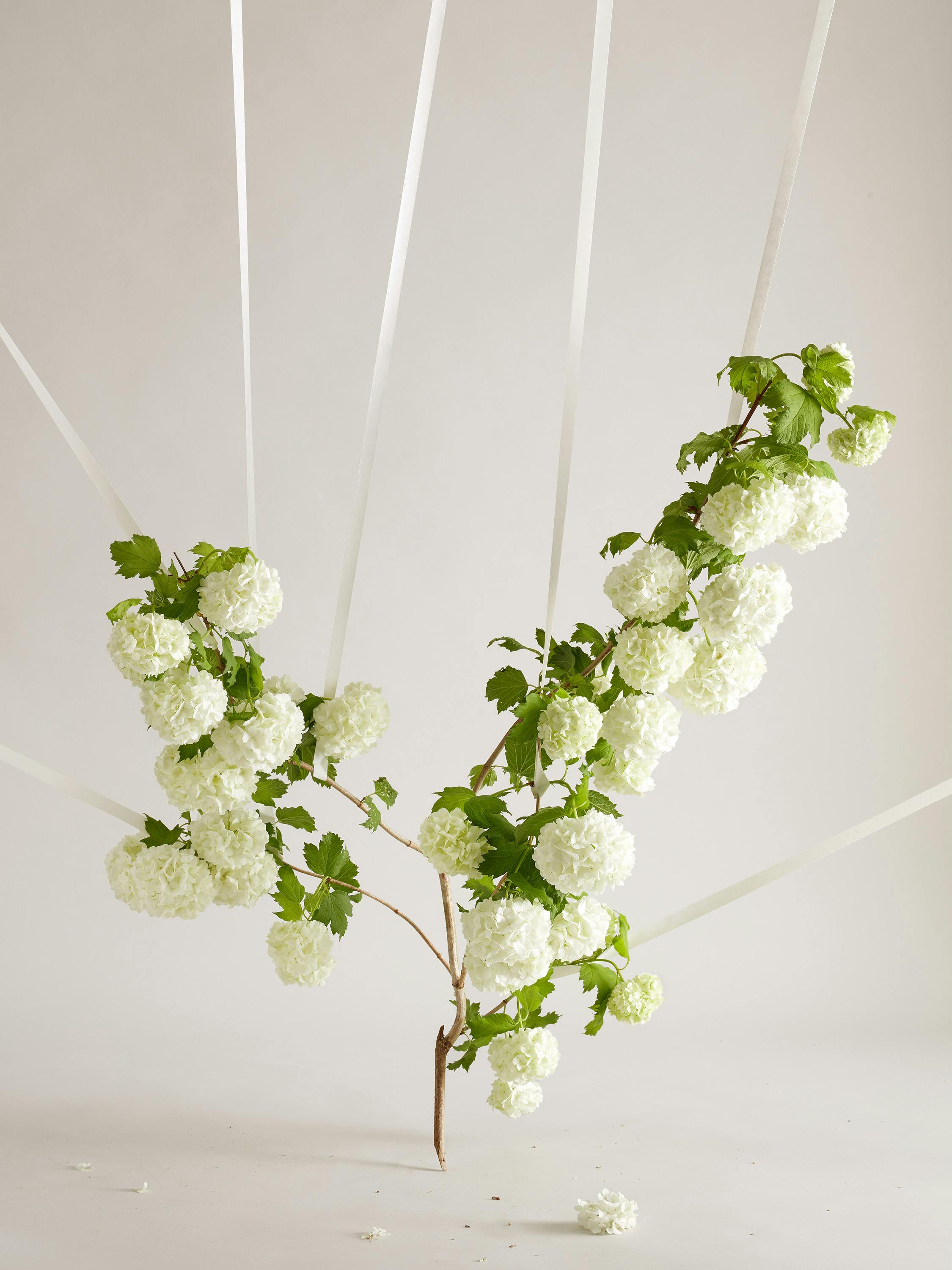 A branch of white snowball is held in place by white tape.