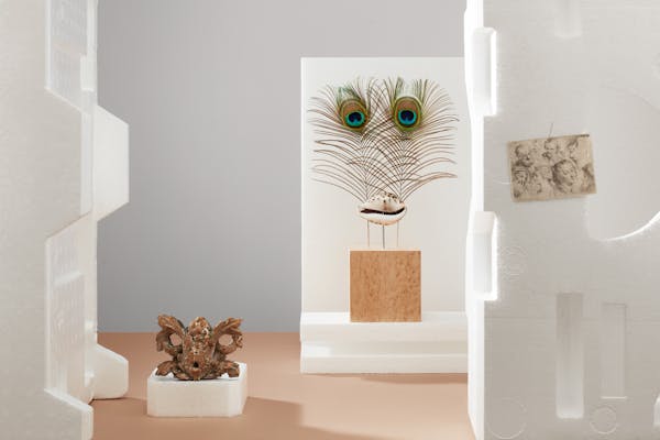 Art object made out peacock feathers that looks like two eyes in an abstract set with white styrofoam objects