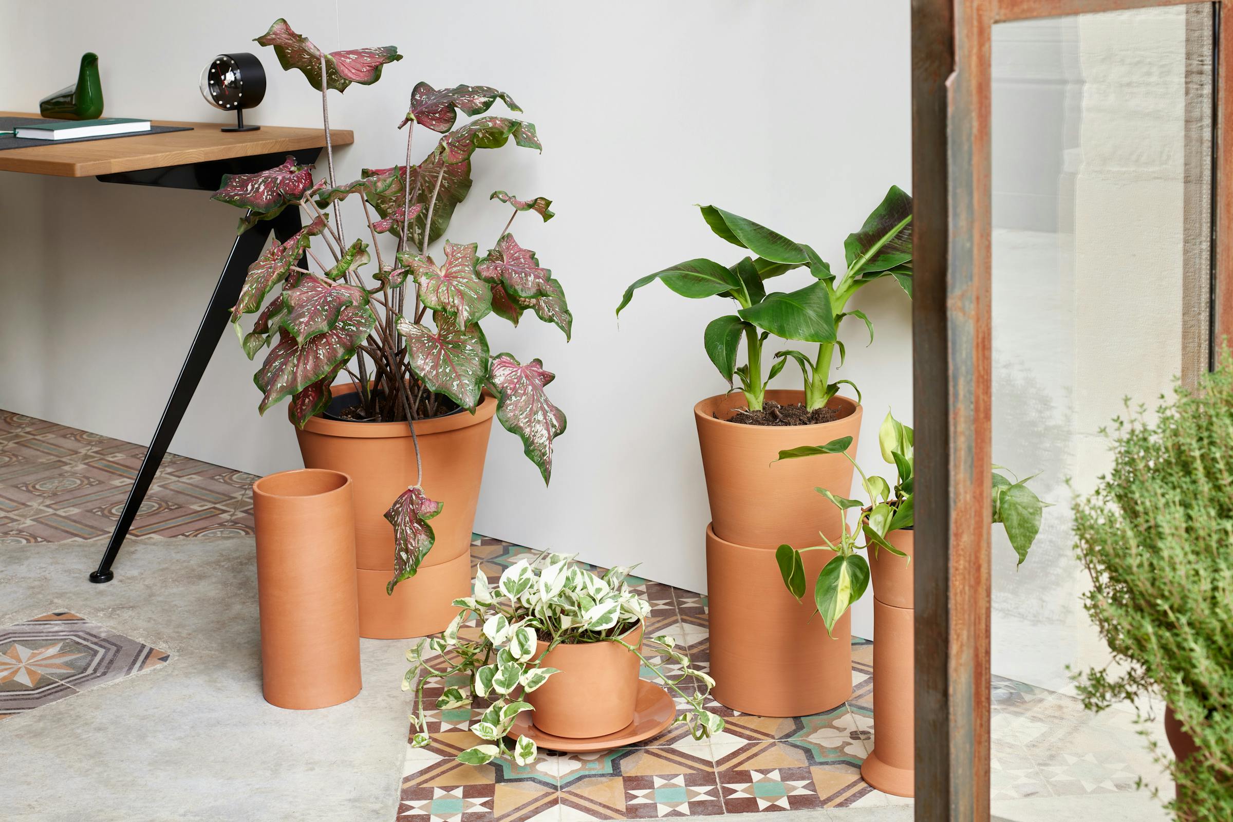 Writing desk with potted plants in a Mediterranean building