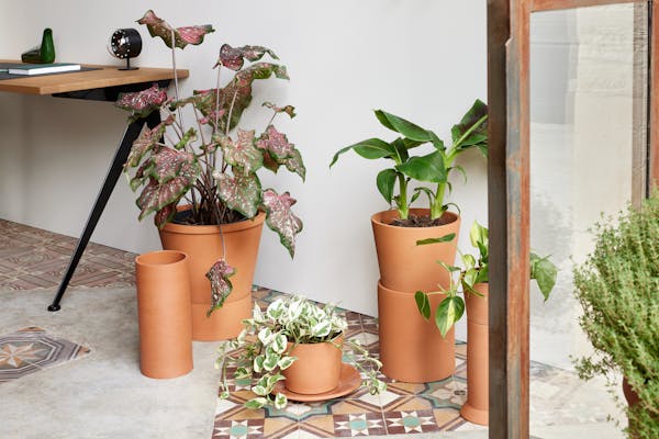 Writing desk with potted plants in a Mediterranean building