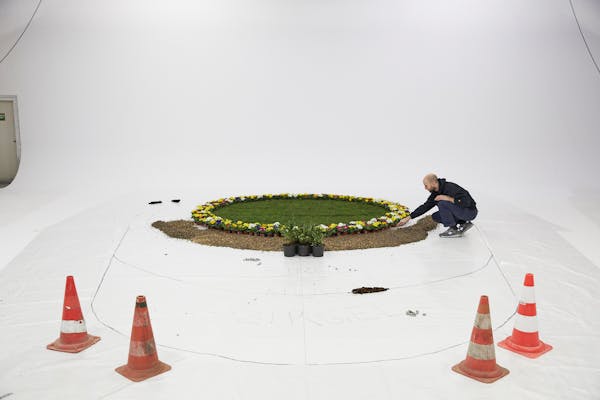 Backstage shot in a large photo studio with a display of flowers and grass