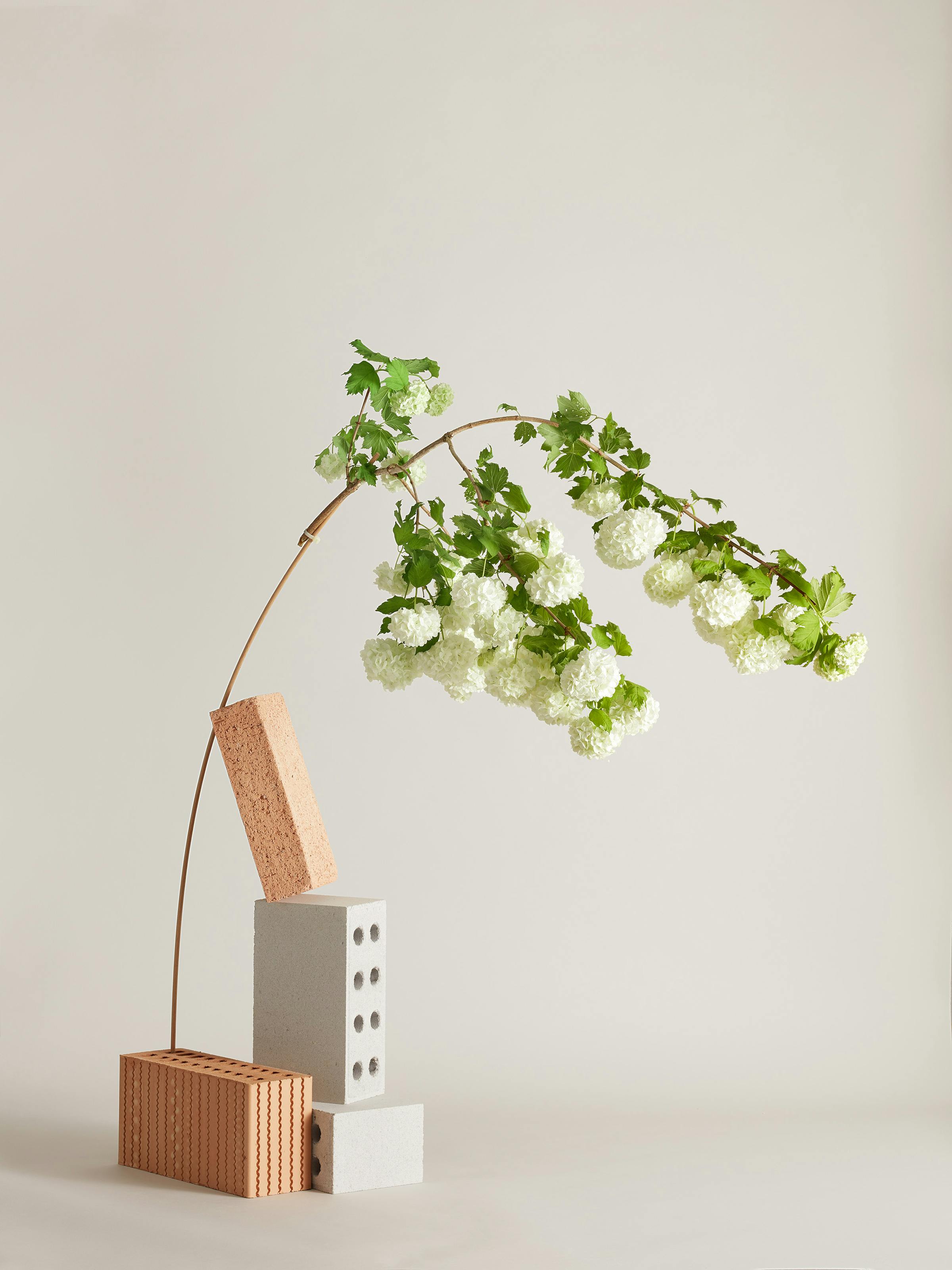 A branch of white snowball on a wooden stick is kept in balance by bricks