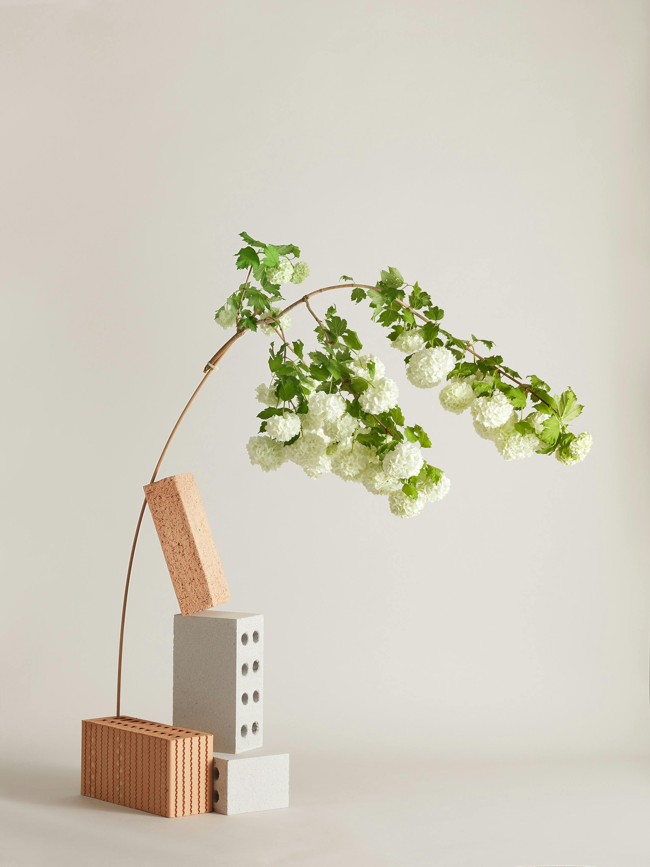 A branch of white snowball on a wooden stick is kept in balance by bricks