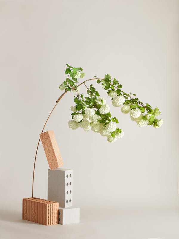 A branch of white snowball on a wooden stick is kept in balance by bricks