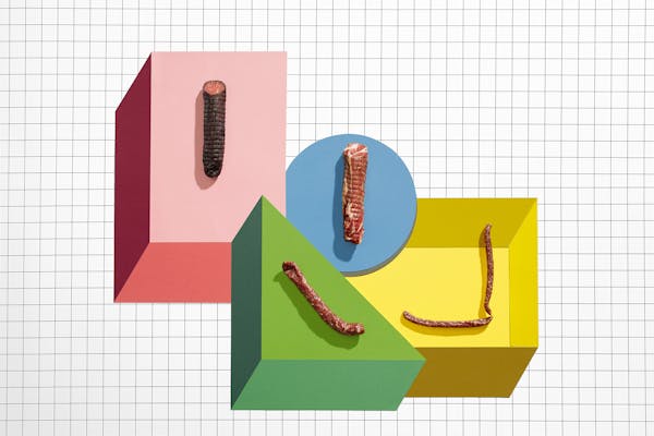 A group of 4 dry sausages in an abstract graphic set made of colourful paper in the shapes of a circle, square and triangle.