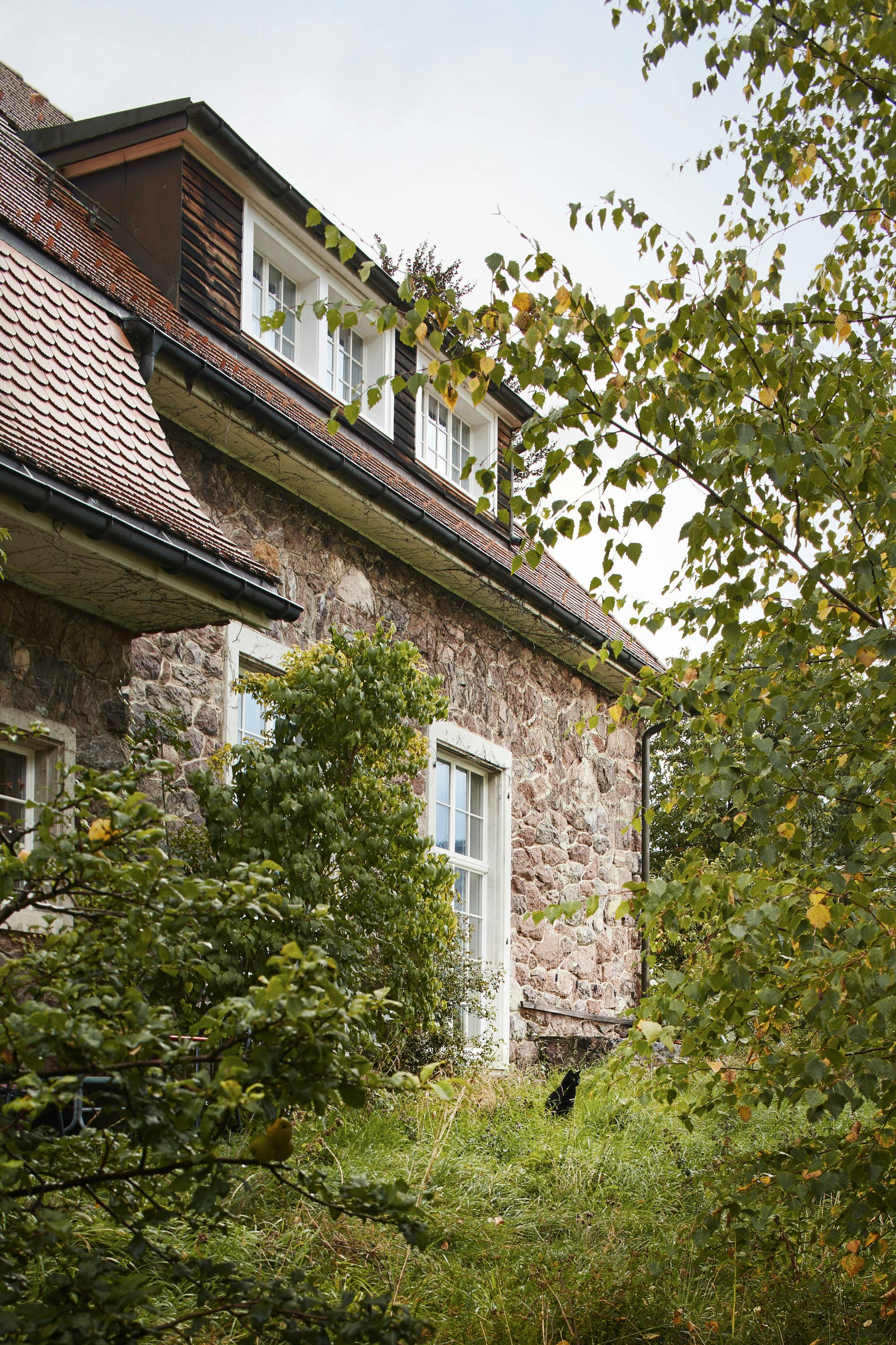 Stone façade of a 19th-century house with a black cat in the garden