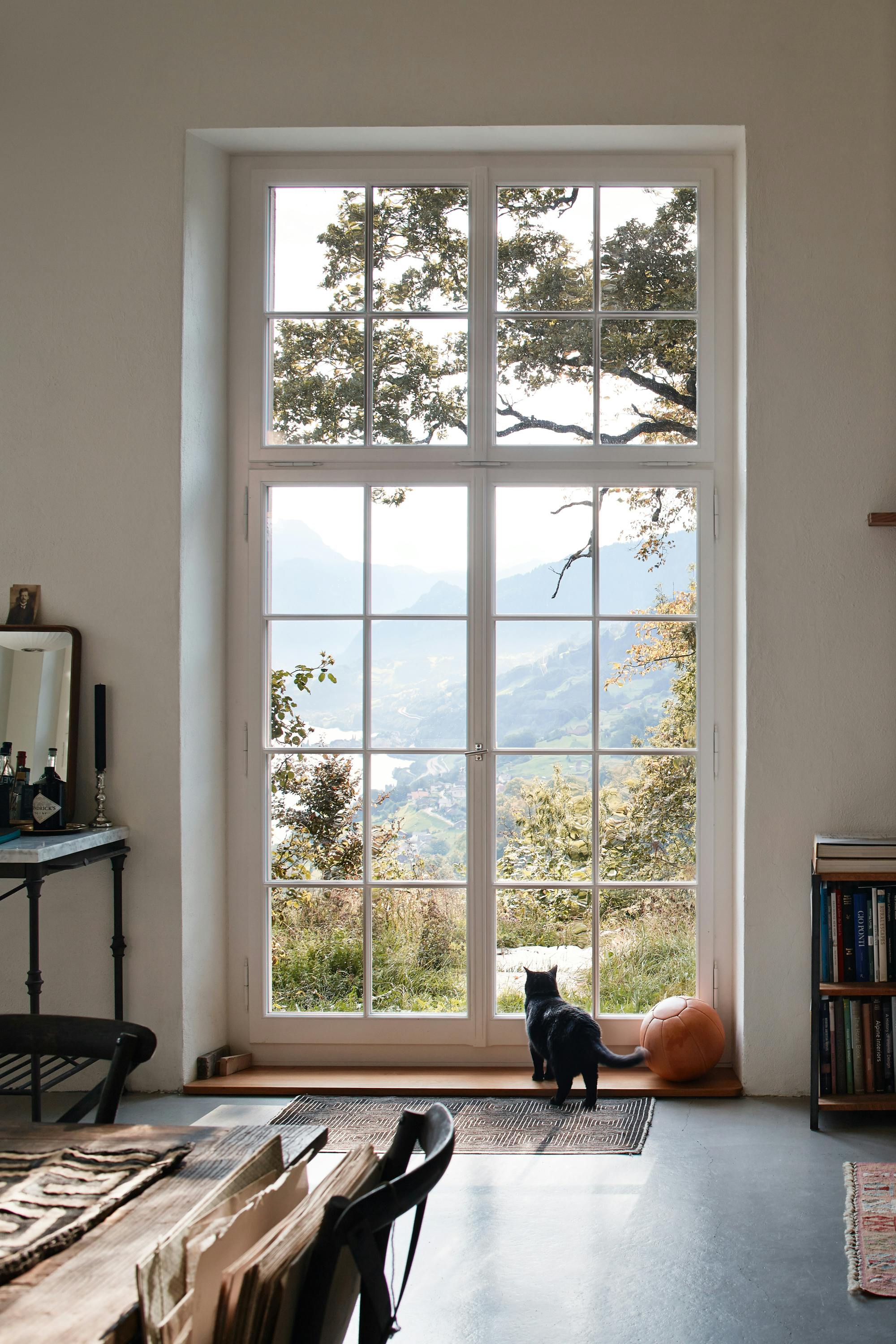 A cat stands at a large glass window overlooking the valley of Lake Walen.