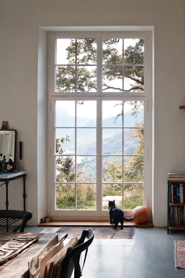 A cat stands at a large glass window overlooking the valley of Lake Walen.