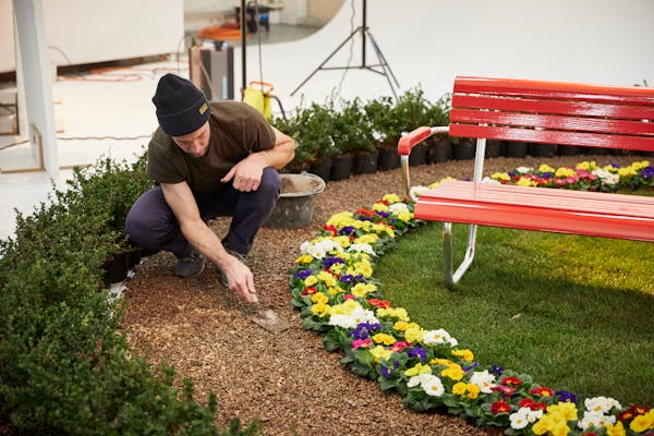 Red bench with a flower bed, a gardener arranges the mulch