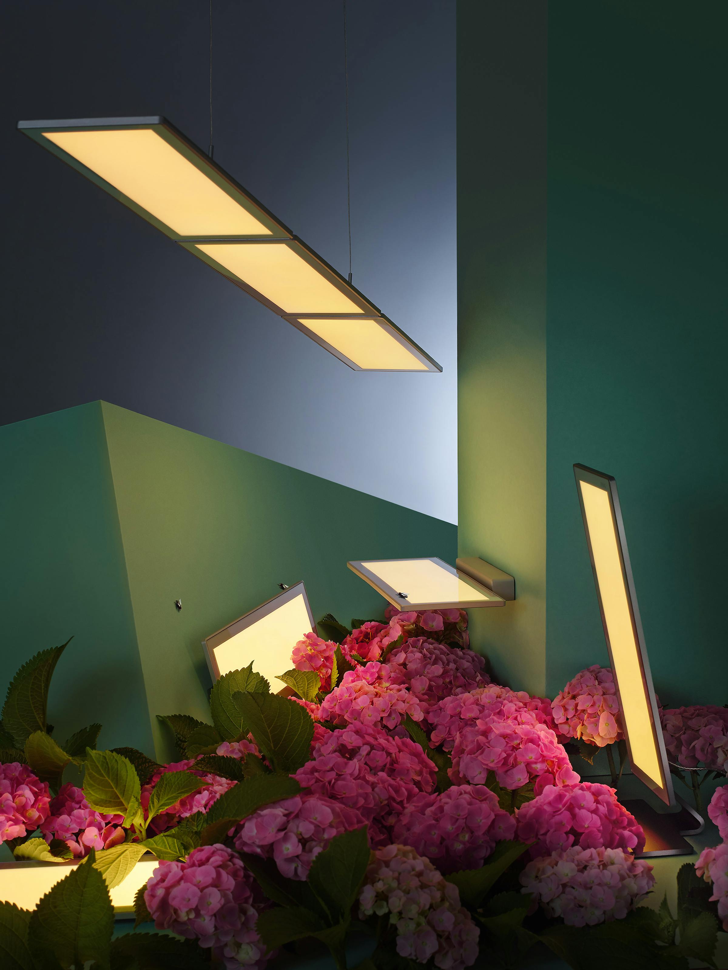 OLED lights from Ribag in a geometric set design with hydrangeas