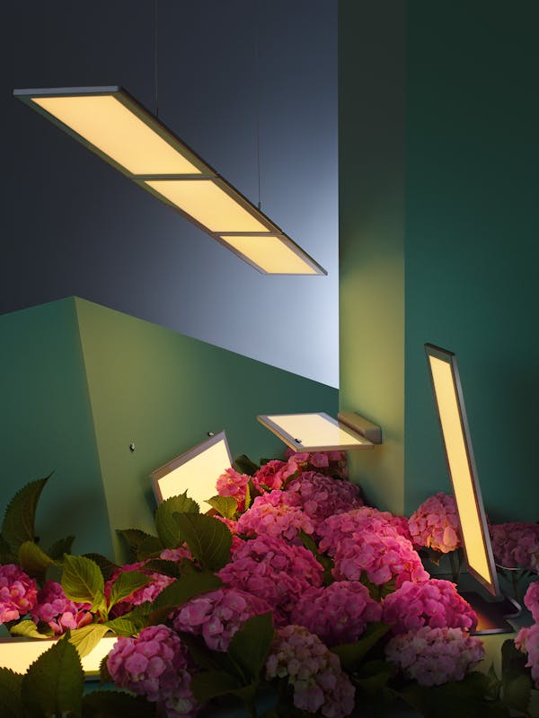 OLED lights from Ribag in a geometric set design with hydrangeas