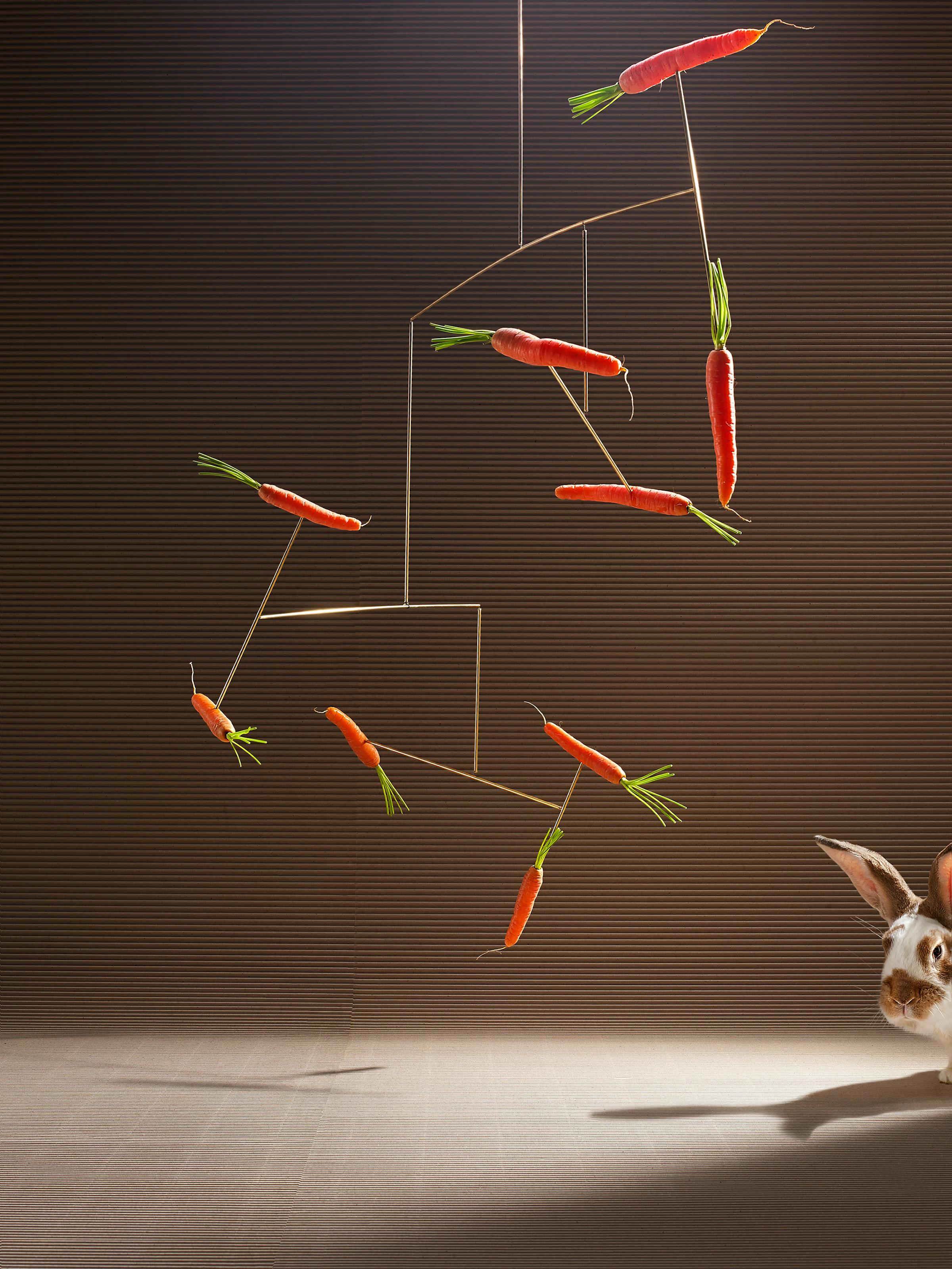 Carrot mobile with a white rabbit in an abstract studio setting