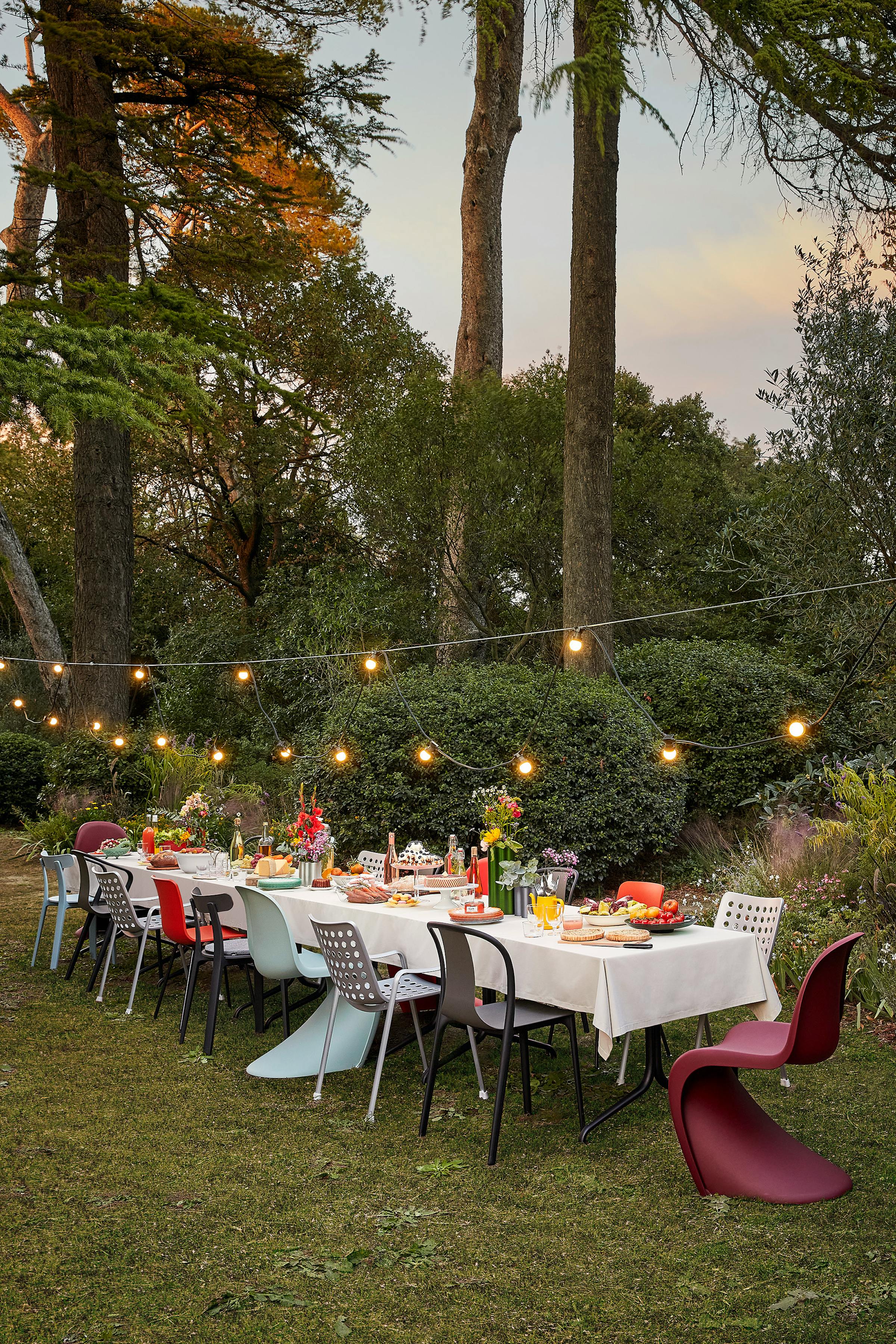 Long table festively set in a park with tall trees