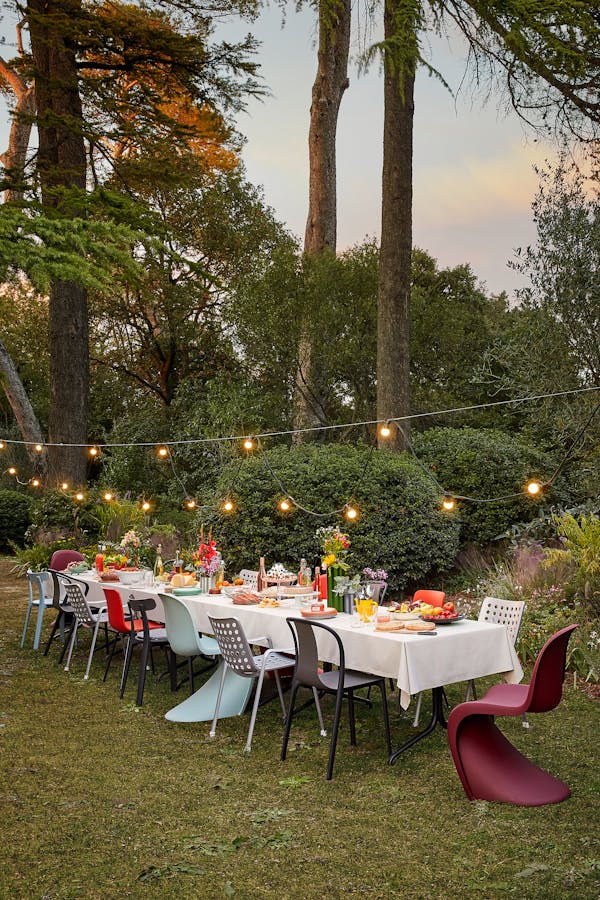 Long table festively set in a park with tall trees