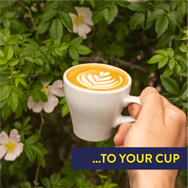 ...To your cup