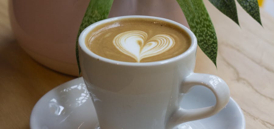 Lost sheep coffee in a cup next to plant