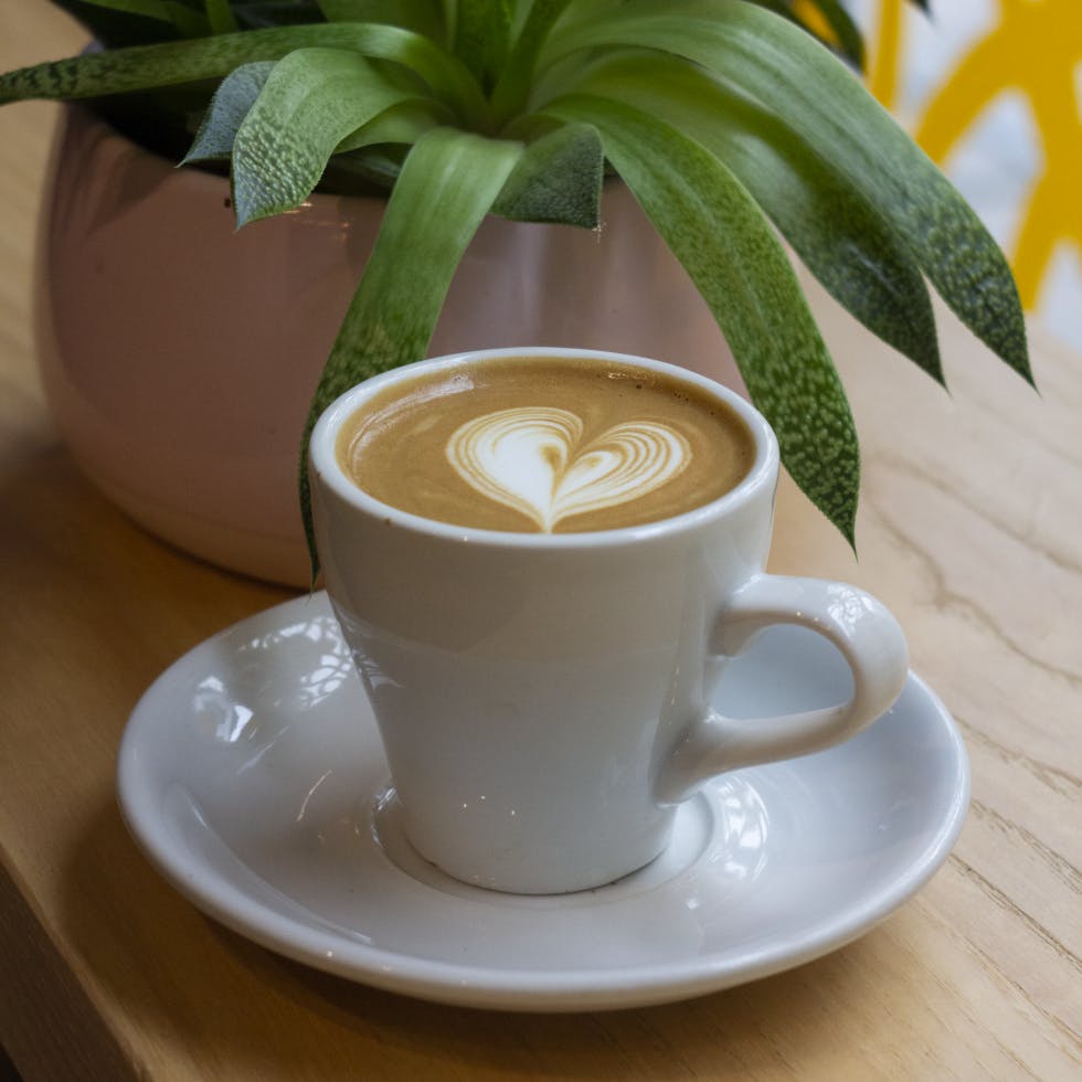Lost sheep coffee in a cup next to plant
