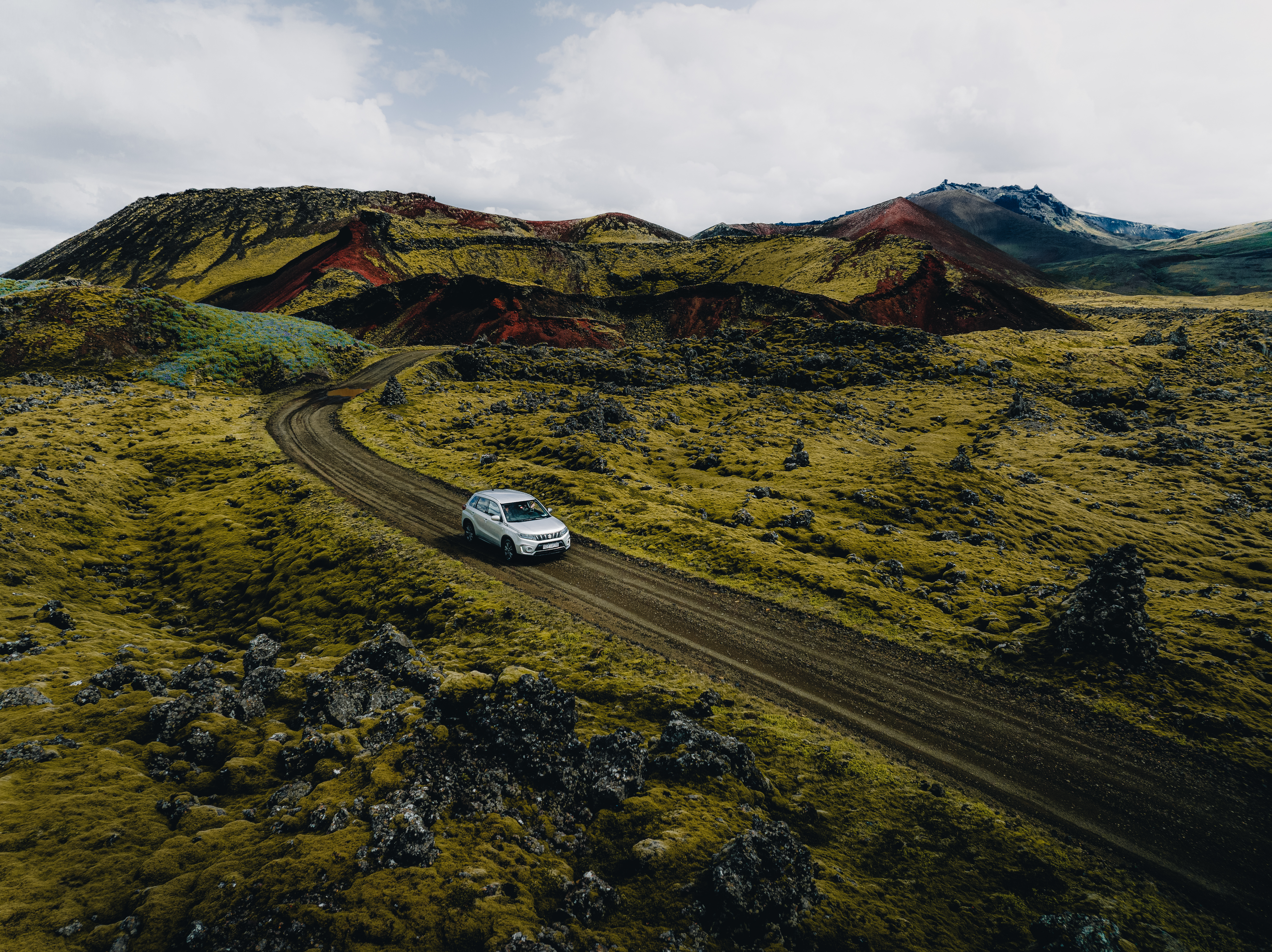 driving through fields of moss