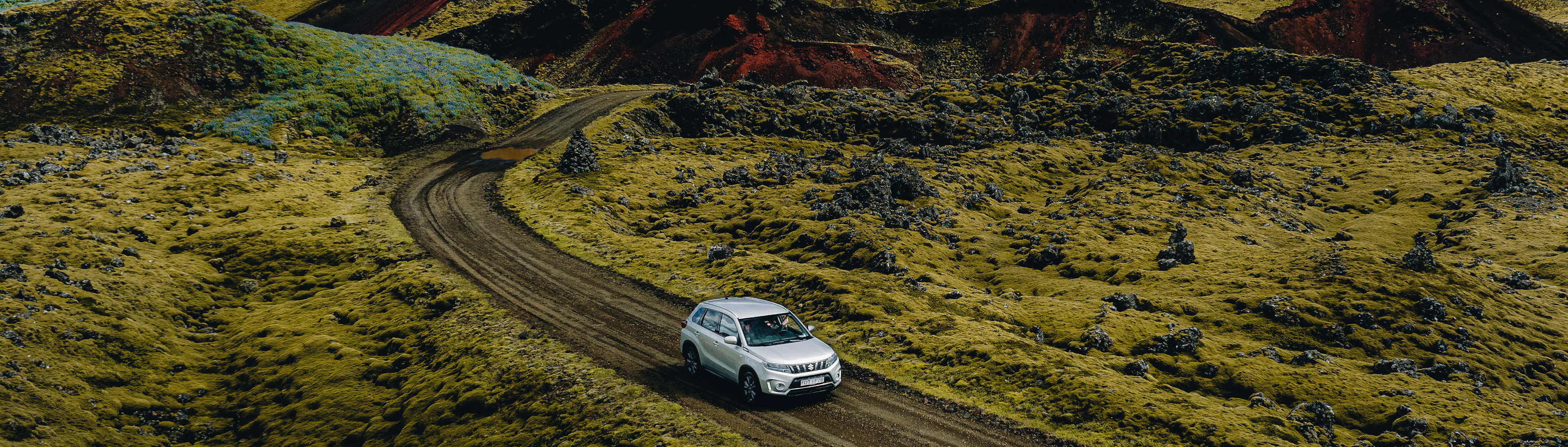 driving through fields of moss