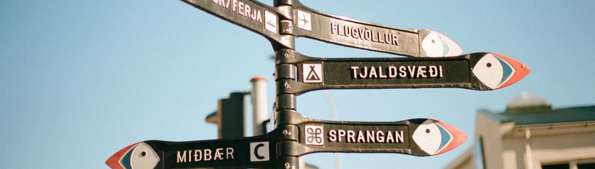 Una guía para el idioma islandés