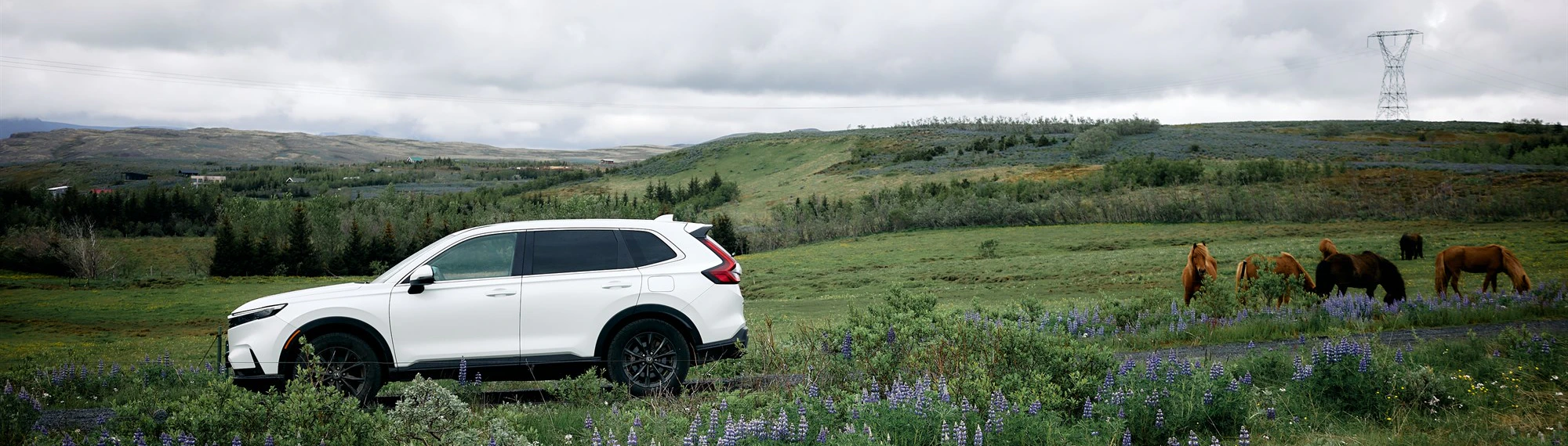 Cómo alquilar un coche en Islandia: todo lo que necesitas saber antes de reservar