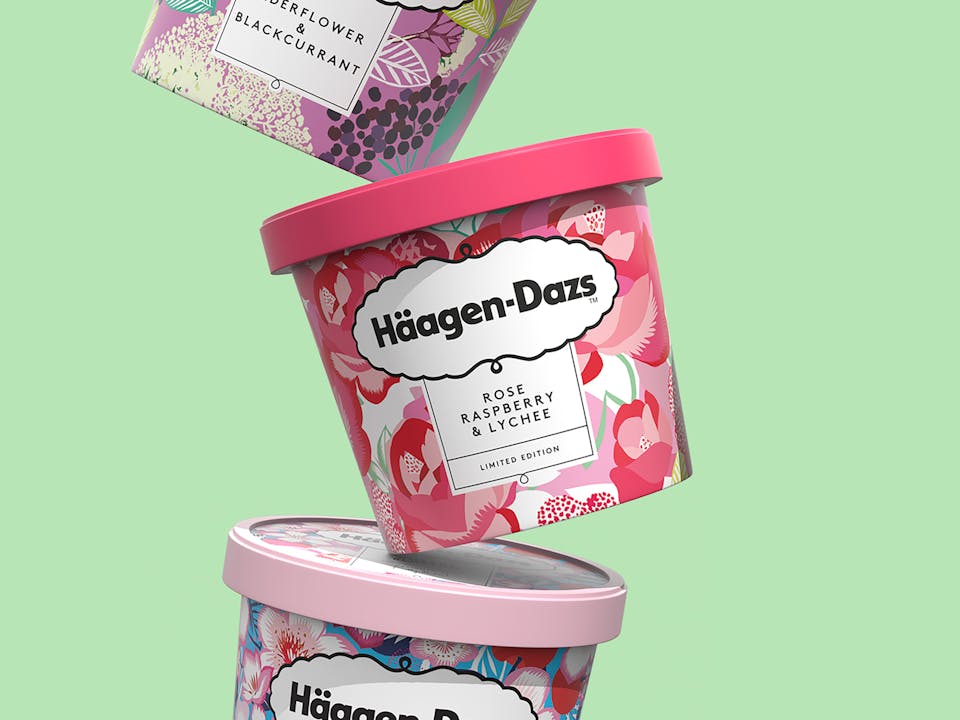 haagen dazs case study marketing