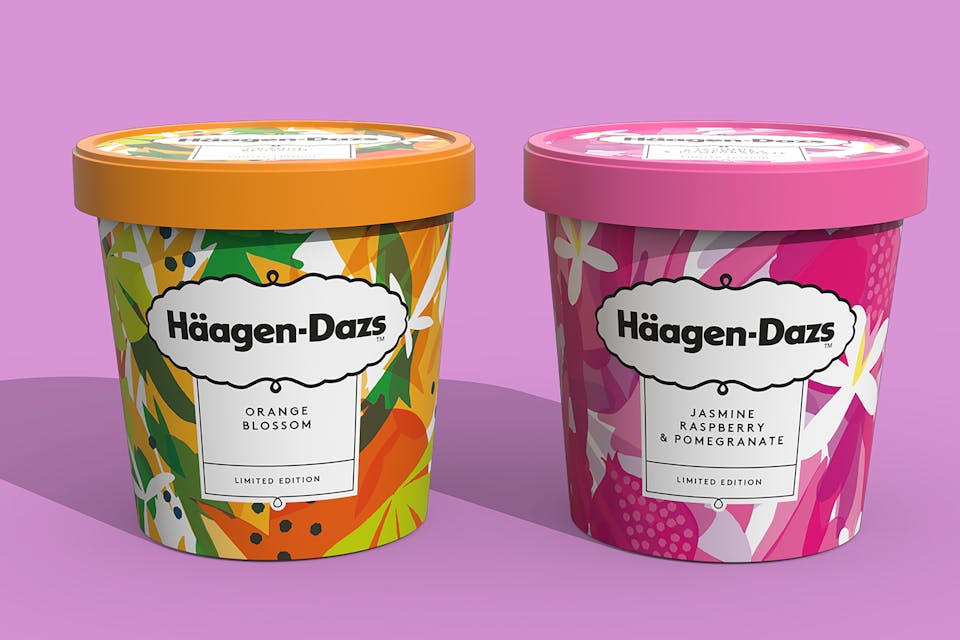 haagen dazs case study marketing