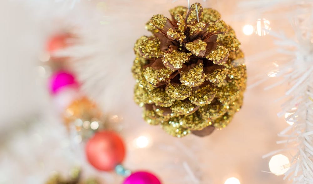 Christmas kids craft pine cones by Lovely Indeed