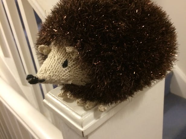 Alison D's Hedgehog