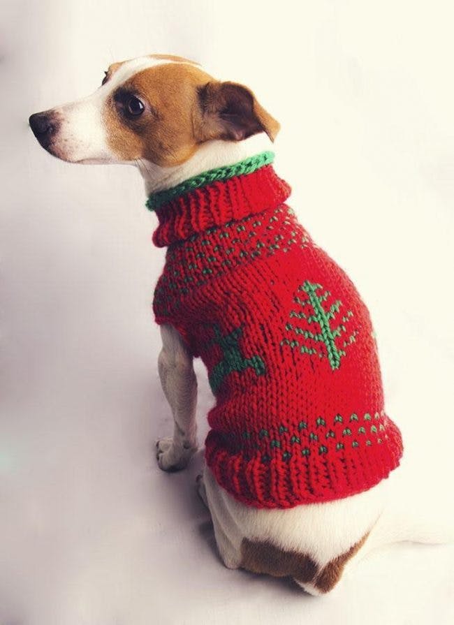 Louis Pup Made Knit Sweater