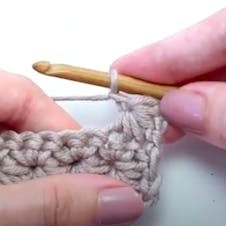 step 20