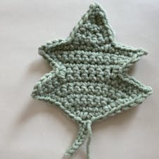 Adding crochet leaf edge 