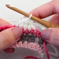 step 7