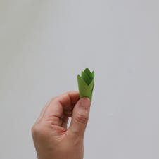 step 9
