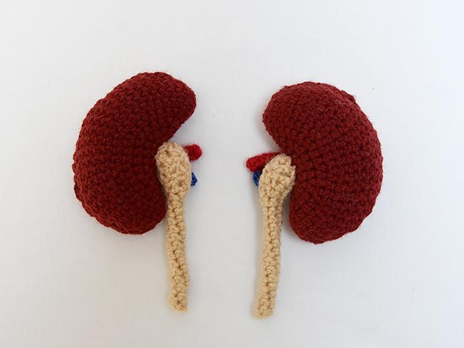 Stitch me up! The world of human textiles revealed...
